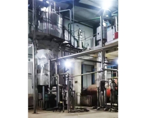 核桃油加工设备